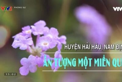 Phóng sự Nông thôn mới Hải Hậu