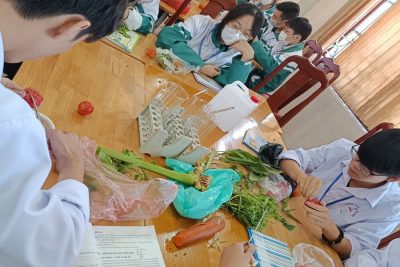 Thực hành Sinh học : ” Phát hiện diệp lục và carotenoit” lớp 11